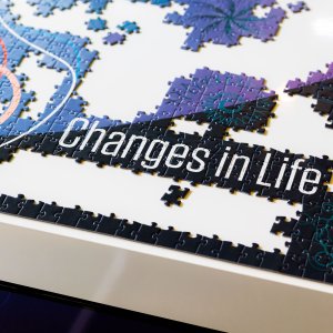 Changes in Life jigsaw